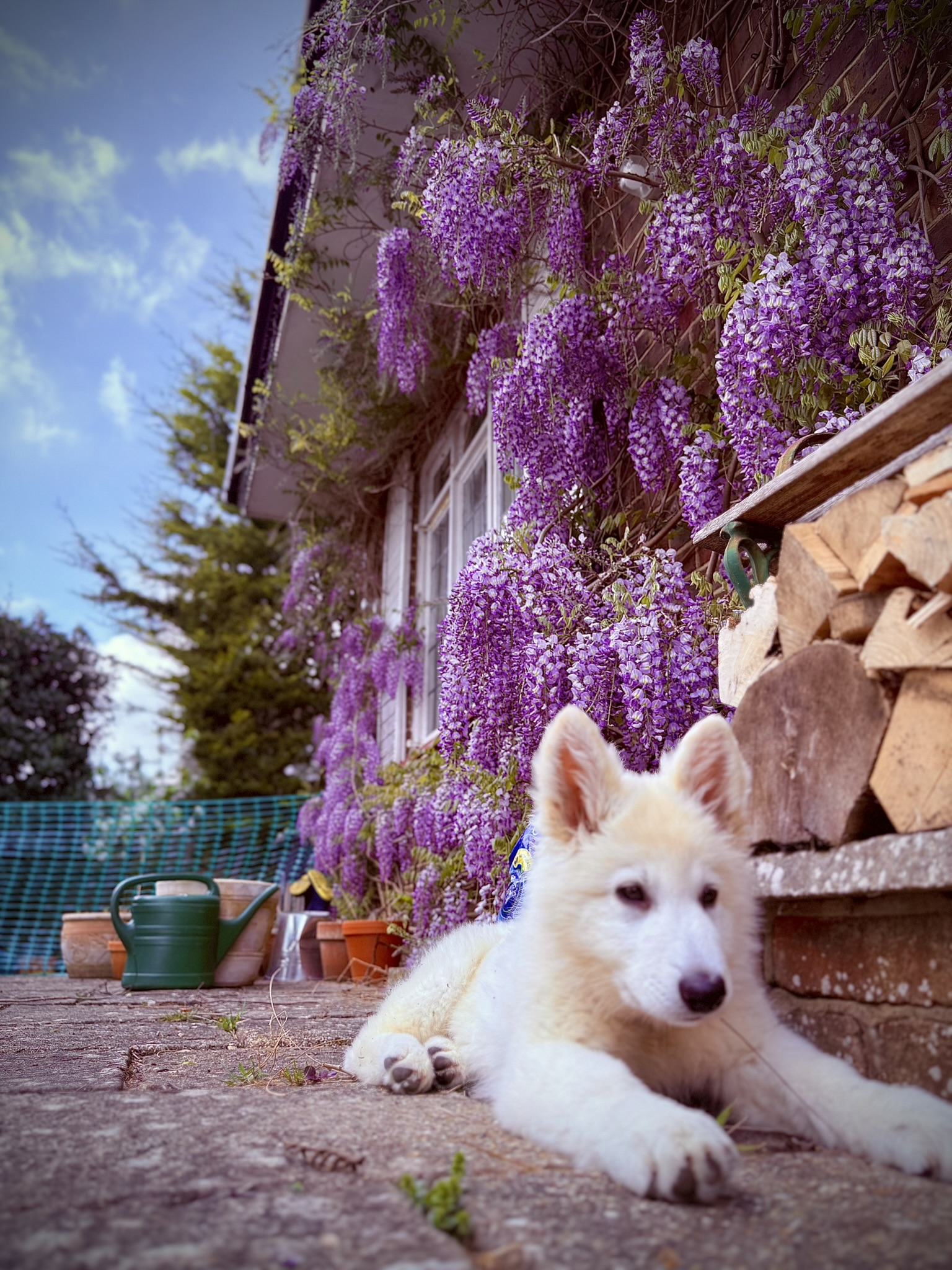 South Downs Photography