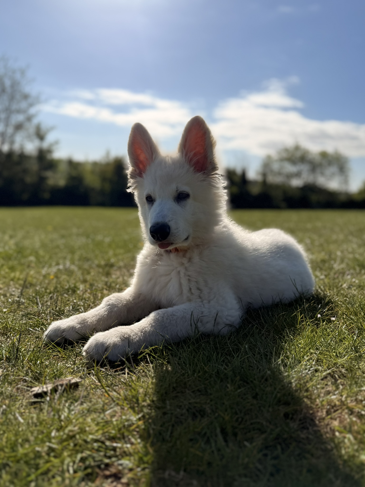 South Downs Photography