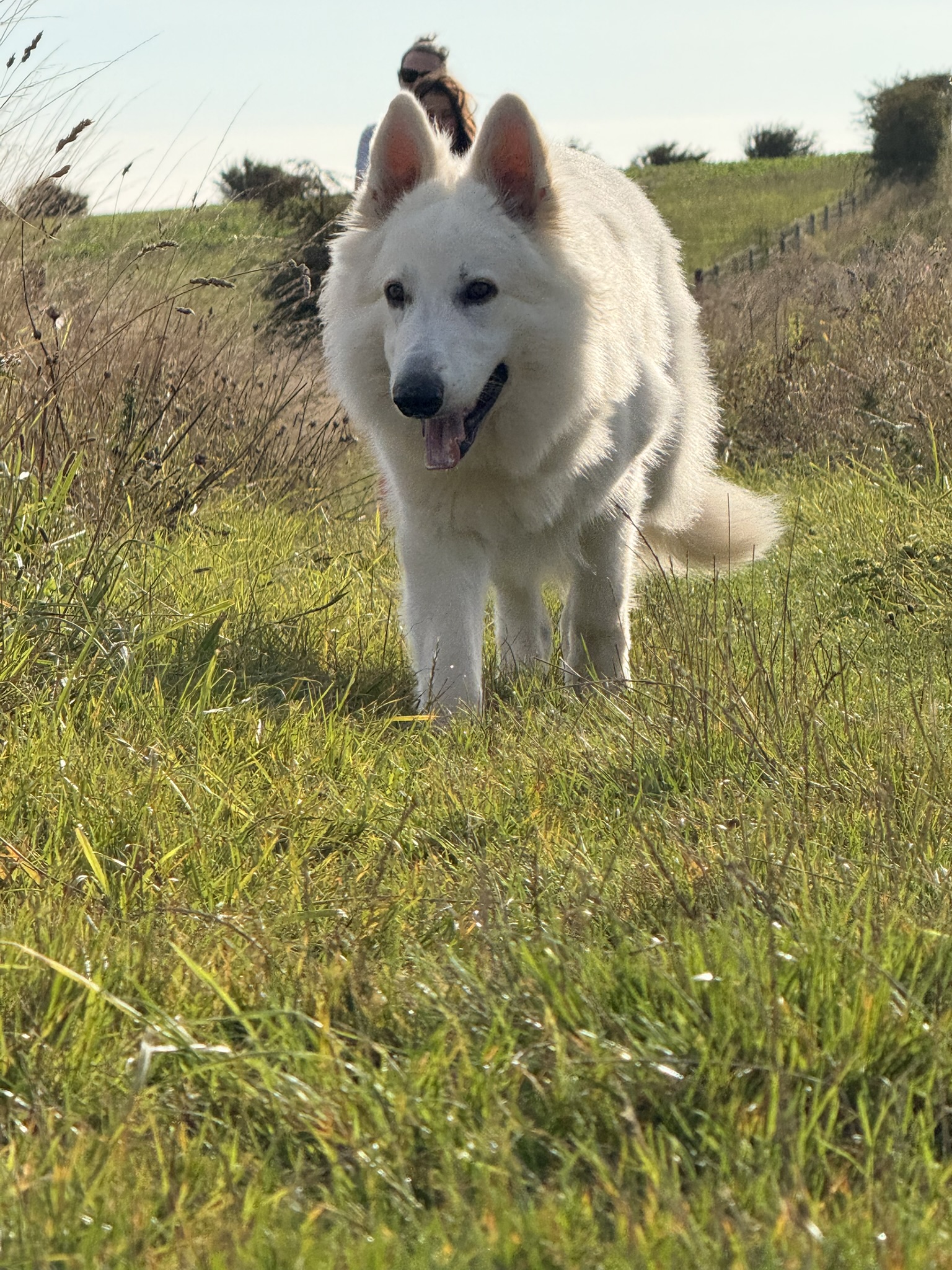 South Downs Photography